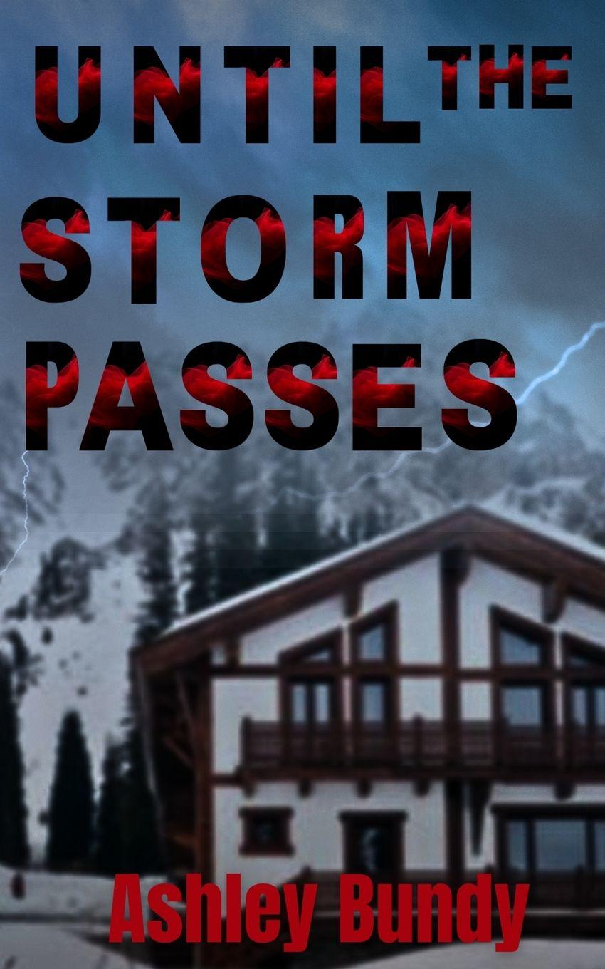 Knjiga Until the Storm Passes Ashley Bundy