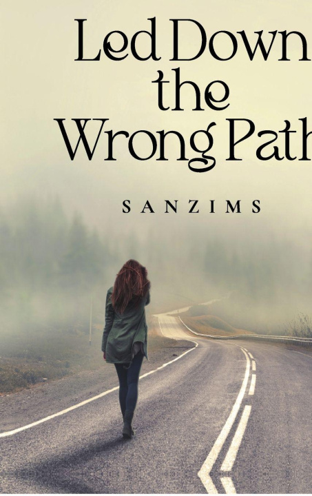 Kniha Led Down The Wrong Path Sanzims