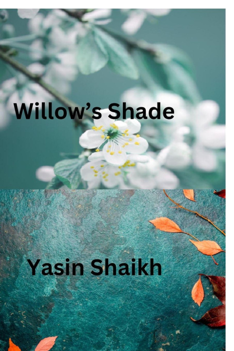Kniha Willow's Shade Yasin Shaikh