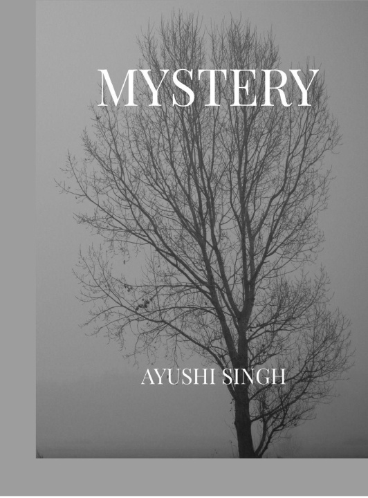 Buch Mystery Ayushi Singh