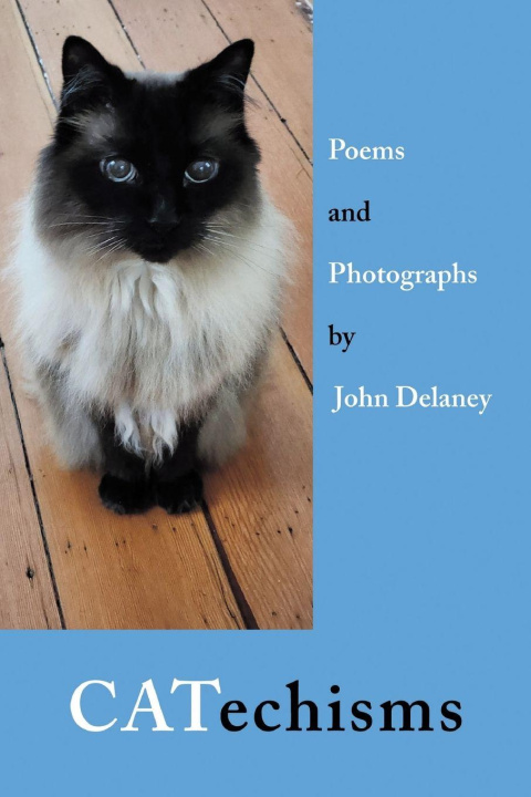 Knjiga CATechisms John Delaney