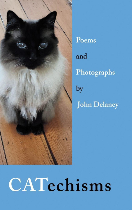 Kniha CATechisms John Delaney