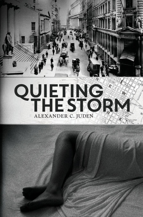 Kniha Quieting the Storm Alexander C. Juden