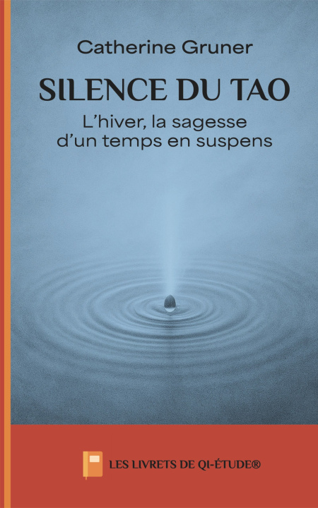 Knjiga Silence du Tao Gruner