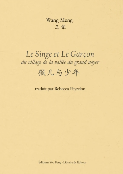 Buch Le Singe et Le Garçon WANG