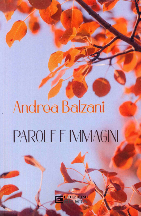 Kniha Parole e immagini Andrea Balzani