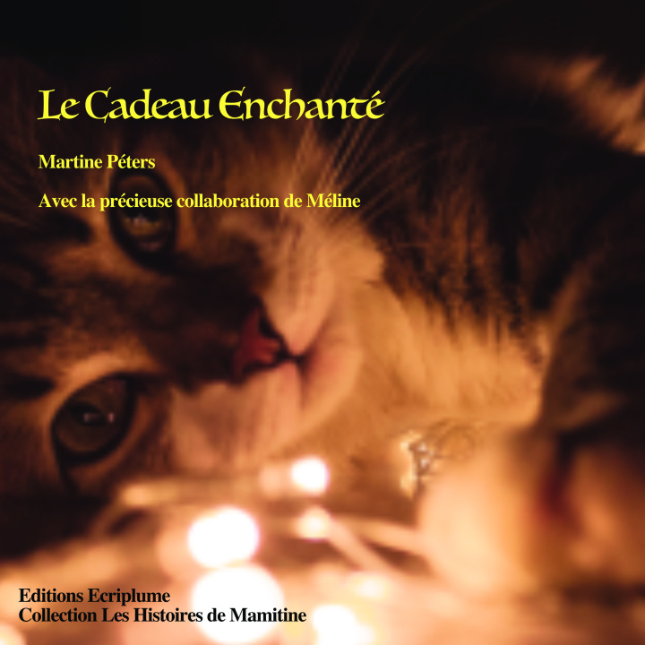 Книга Le Cadeau Enchanté Péters
