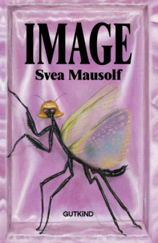 Kniha Image Svea Mausolf