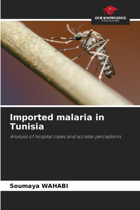 Kniha Imported malaria in Tunisia Soumaya WAHABI