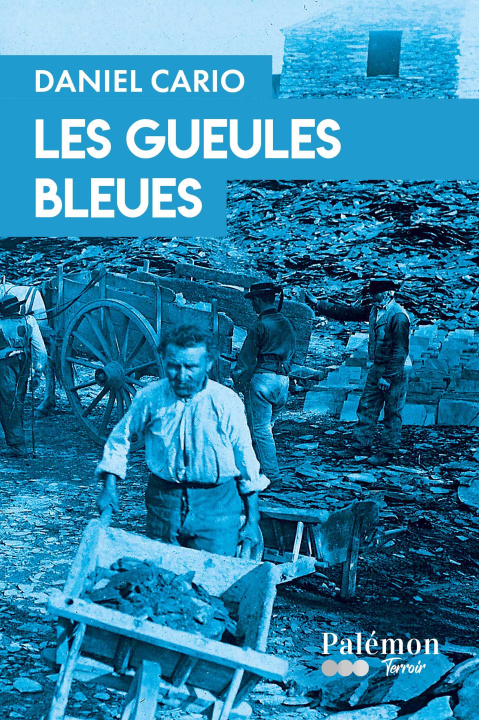 Boek Les Gueules Bleues cario
