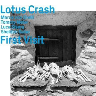 Audio Lotus Crash,First Visit 