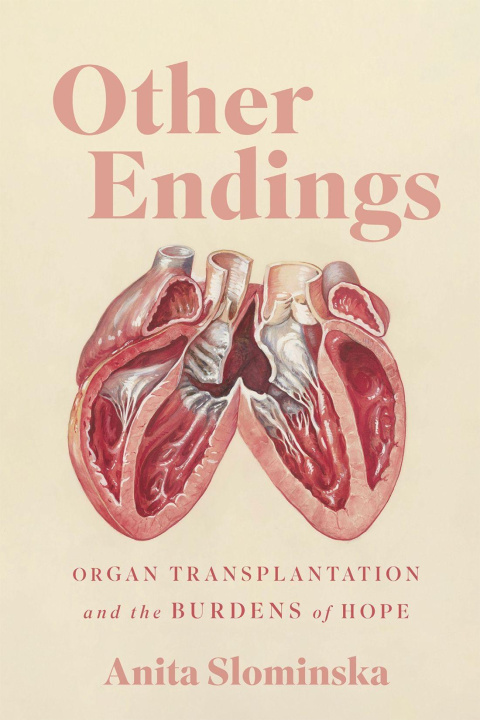Kniha Other Endings Anita Slominska