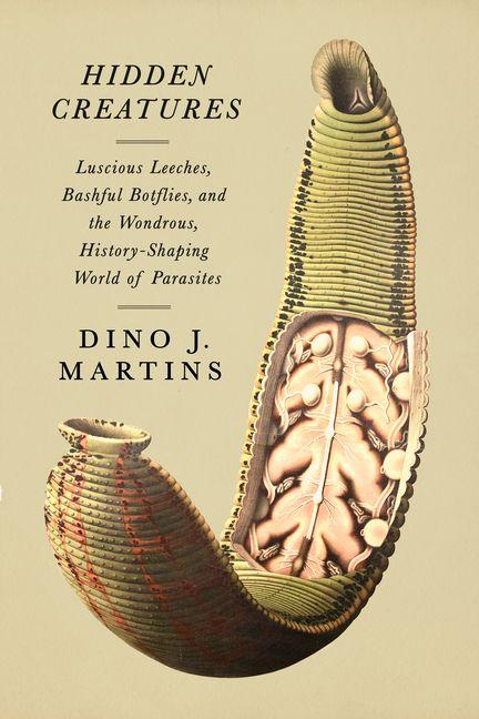 Kniha Hidden Creatures MARTINS DINO
