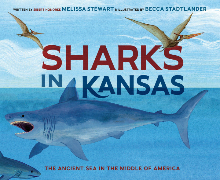Книга Sharks in Kansas Becca Stadtlander