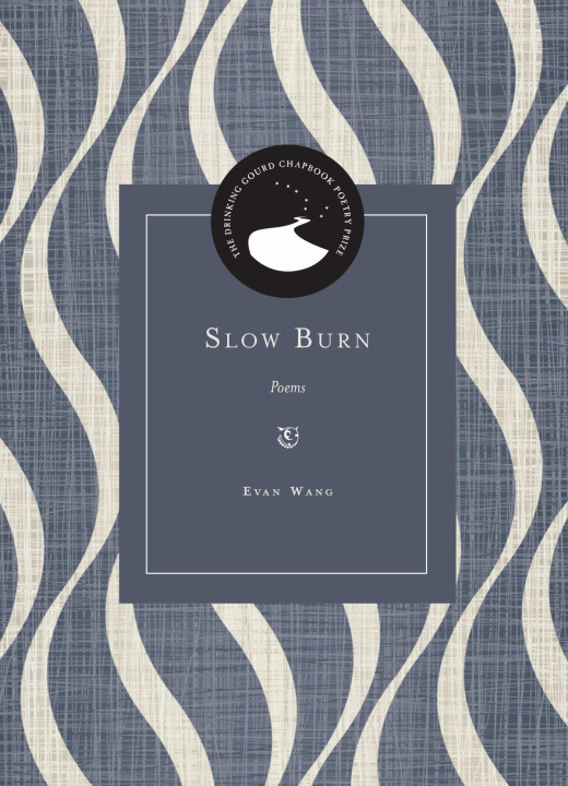 Kniha Slow Burn Evan Wang
