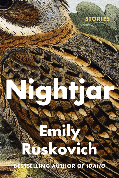 Knjiga Nightjar RUSKOVICH EMILY