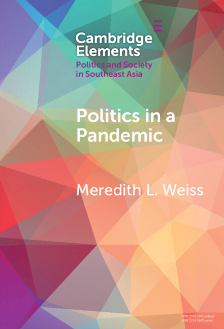 Kniha Politics in a Pandemic Meredith L. Weiss