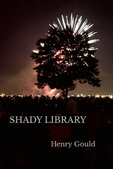 Kniha Shady Library Henry Gould