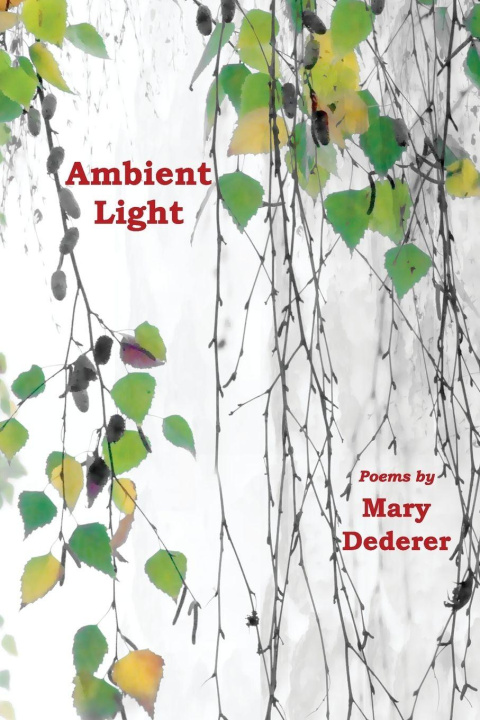 Kniha Ambient Light Mary Dederer