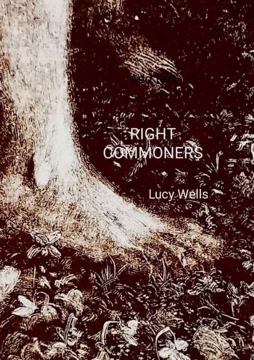 Kniha Right Commoners Lucy Wells