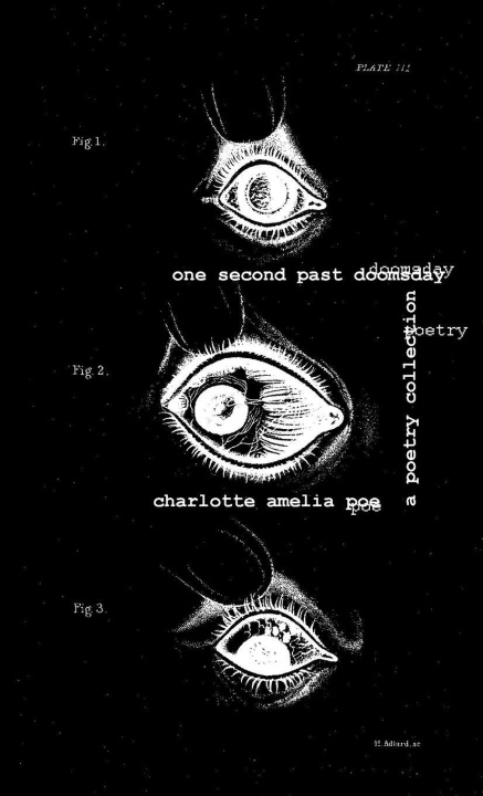 Kniha one second past doomsday Charlotte Amelia Poe
