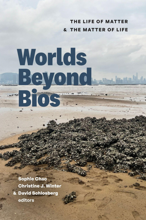 Knjiga Worlds Beyond BIOS Christine J Winter