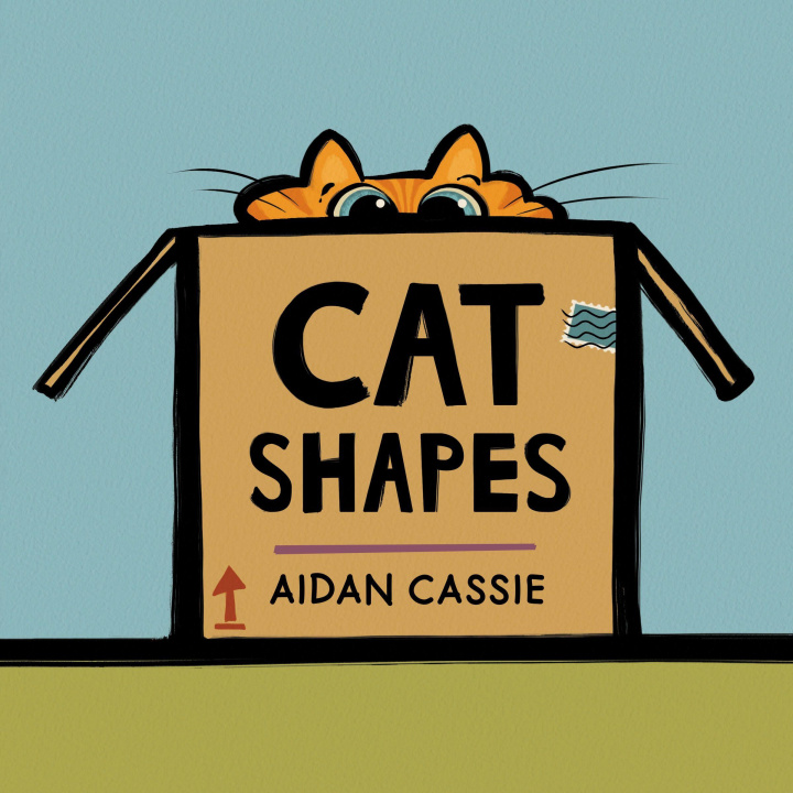 Kniha Cat Shapes Aidan Cassie