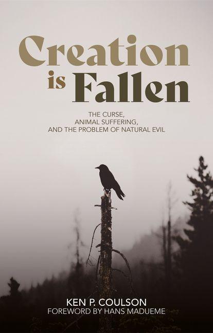 Kniha Creation Is Fallen Ken P. Coulson