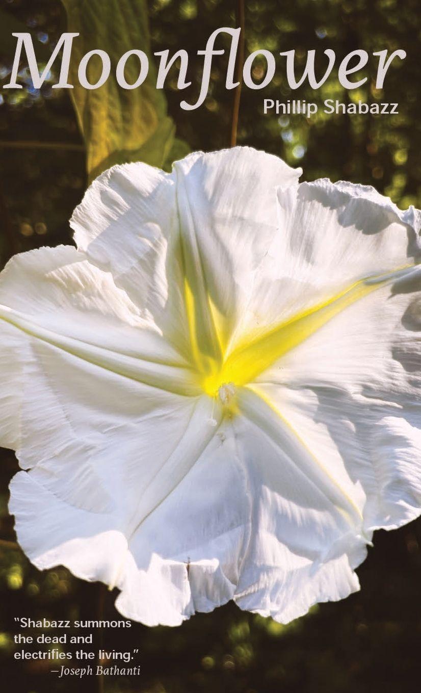 Boek Moonflower Phillip Shabazz