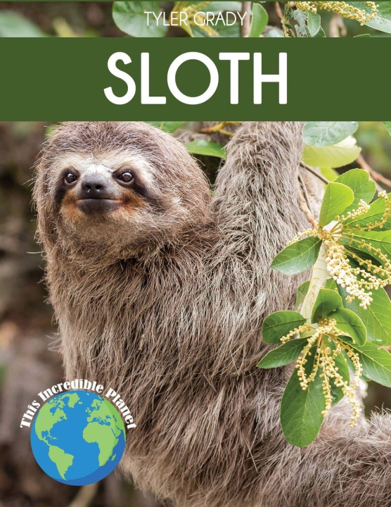 Kniha Sloth Tyler Grady