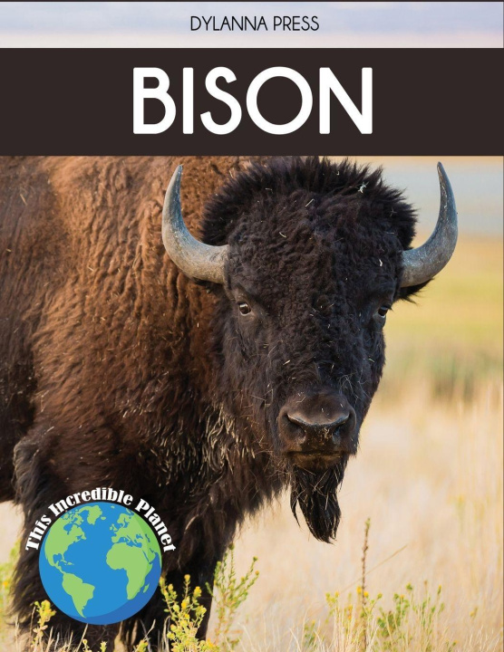 Kniha Bison Tyler Grady
