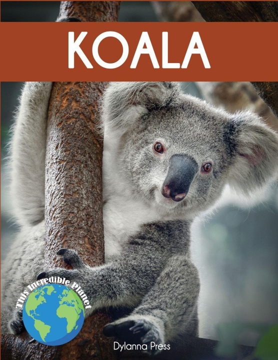 Kniha Koala Dylanna Press