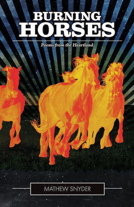 Knjiga Burning Horses Mathew Snyder