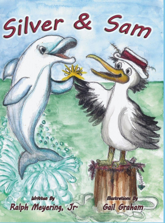 Kniha Silver & Sam Jr. Ralph Meyering