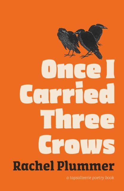 Buch Once I Carried Three Crows Rachel Plummer