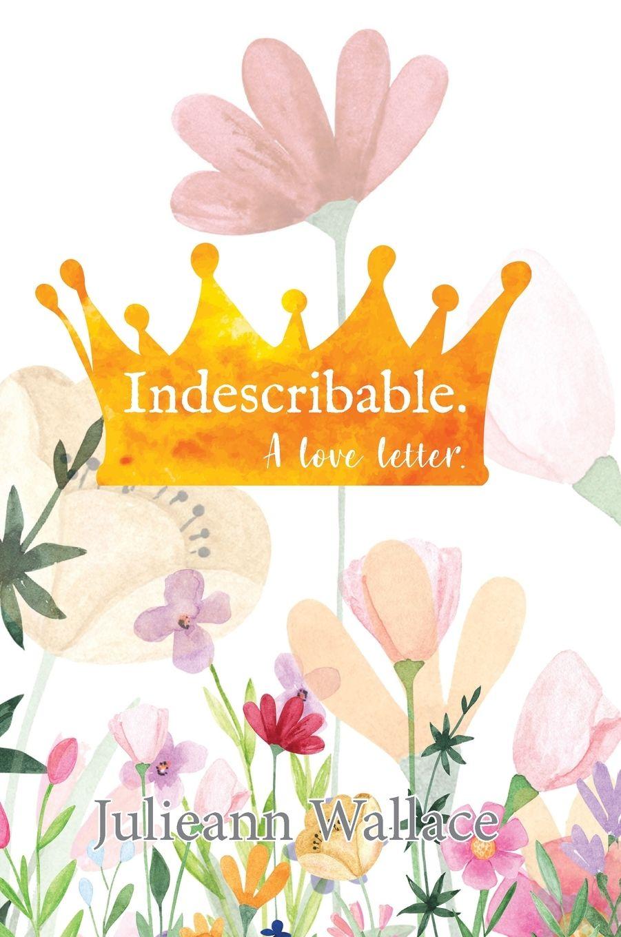 Kniha Indescribable Julieann Wallace