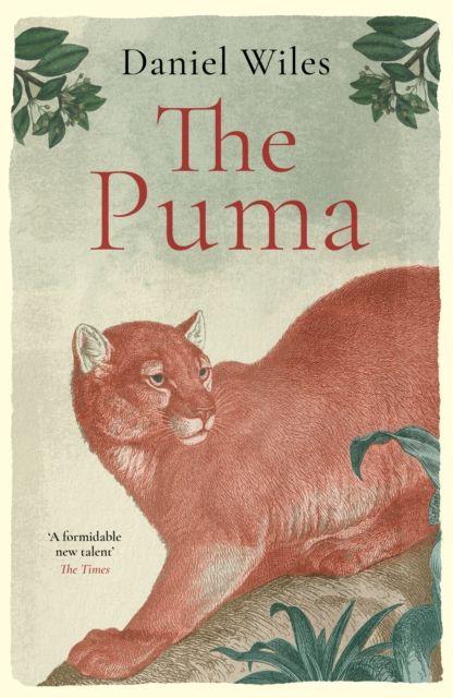 Kniha The Puma Daniel Wiles