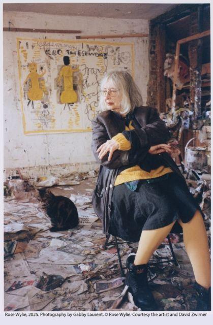 Buch Rose Wylie Jennifer Higgie