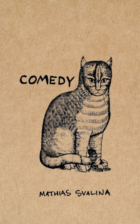 Knjiga Comedy Mathias Svalina