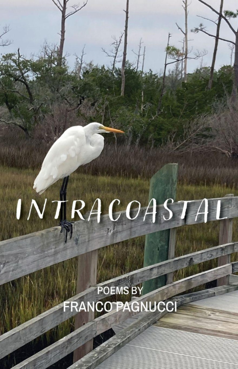 Kniha Intracoastal Franco Pagnucci