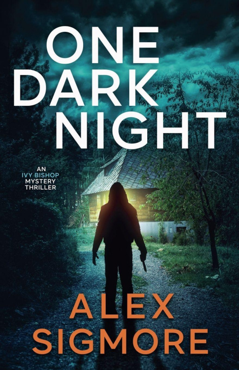 Kniha One Dark Night Alex Sigmore