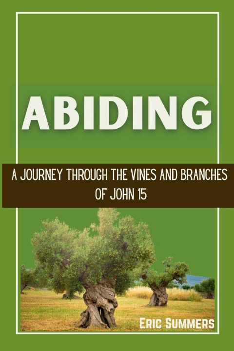 Kniha ABIDING Eric Summers