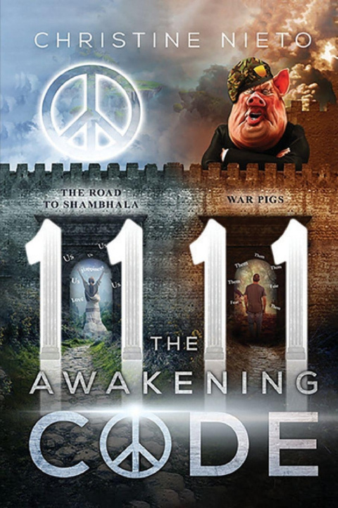 Kniha 11 11 The Awakening Code Christine Nieto