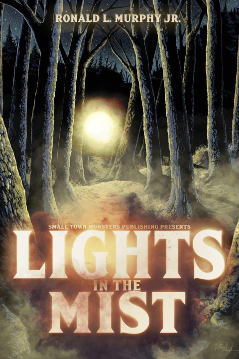 Kniha Lights in the Mist Ronald L Murphy