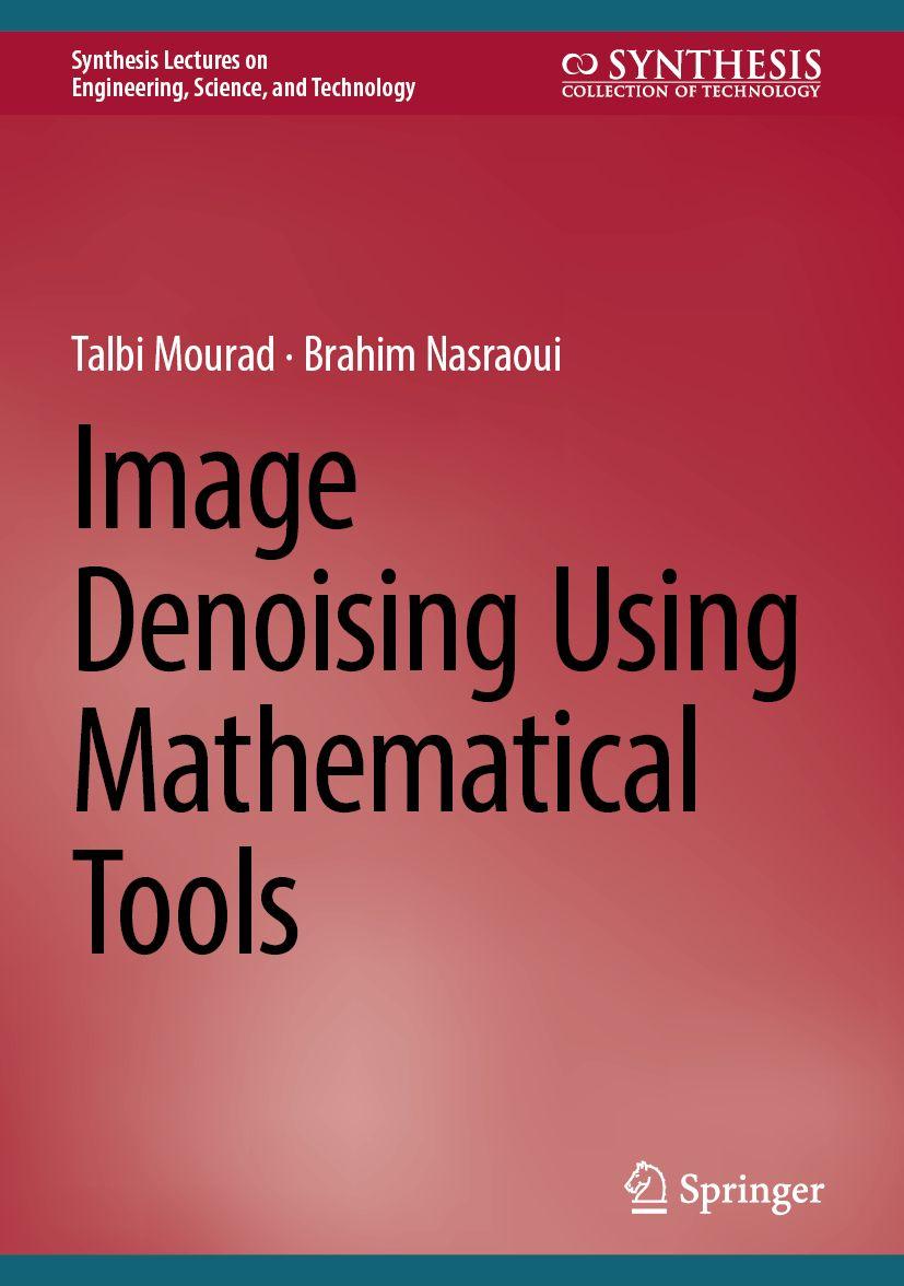 Kniha Image Denoising Using Mathematical Tools Brahim Nasraoui