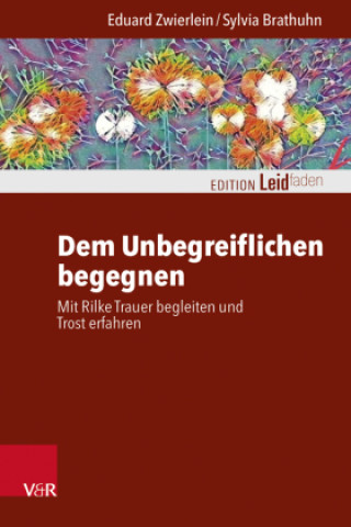 Book Dem Unbegreiflichen begegnen Sylvia Brathuhn