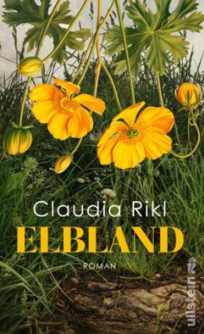Kniha Elbland Claudia Rikl