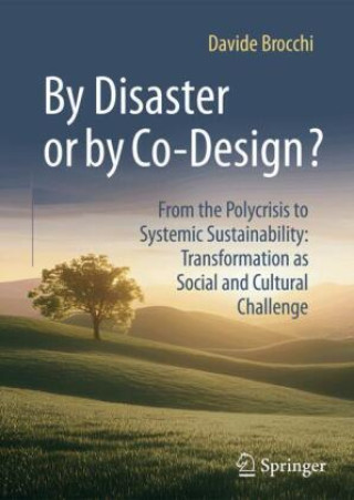 Libro By Disaster or by Co-Design? Davide Brocchi