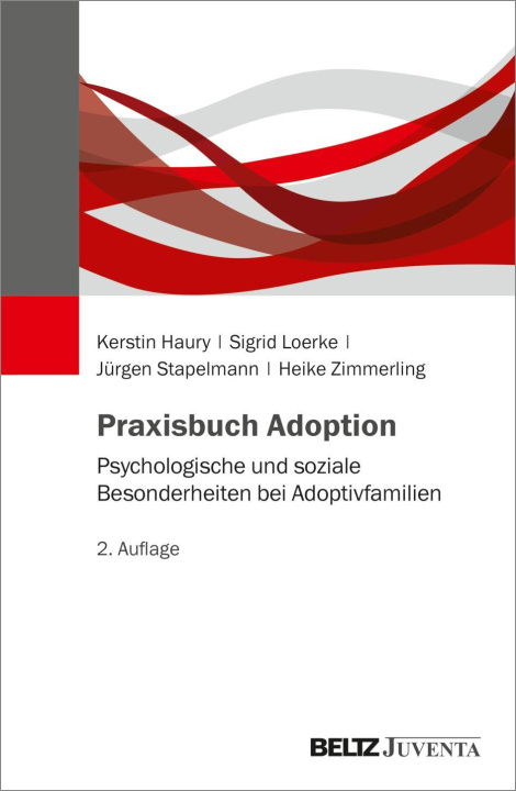 Knjiga Praxisbuch Adoption Sigrid Loerke