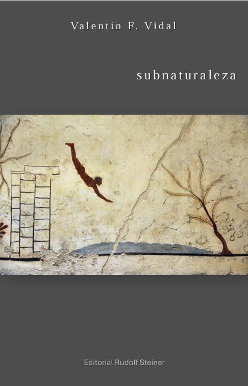 Libro SUBNATURALEZA VALENTIN FERNANDEZ VIDAL